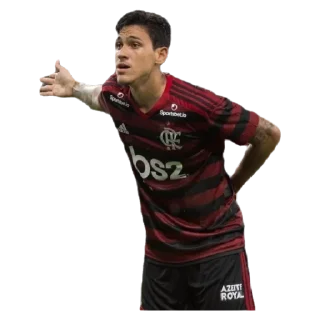 😍 emoji Flamengo Telegram sticker 16 of 94