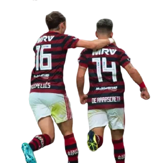 Sticker from Flamengo