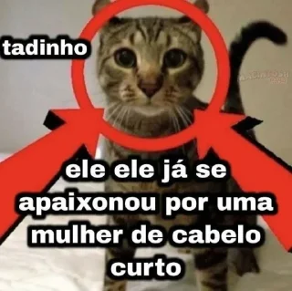 Sticker from pérolas do twitter