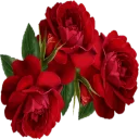 🌹 emoji ❀ Canal Jardim Secreto ❀ Telegram sticker 23 of 51