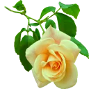 🌼 emoji ❀ Canal Jardim Secreto ❀ Telegram sticker 5 of 51