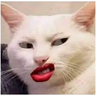 😳 emoji cat vibes (@emopix) Telegram sticker 13 of 18