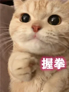 😇 emoji 北京电报群 @bjtgq @bjbjbj Telegram sticker 16 of 120