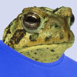 🐸 emoji Blank Stares Telegram sticker 22 of 49