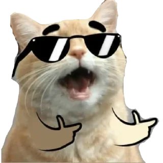 Sticker from gatos