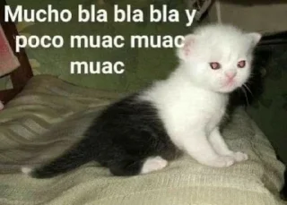 😫 emoji Gatos y ya Telegram sticker 7 of 39