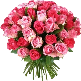 💐 emoji Цветы @progi95 Telegram sticker 16 of 36