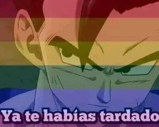 🏳‍🌈 emoji Lo Suponía Telegram sticker 9 of 15
