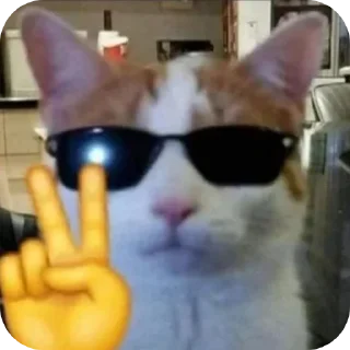 😎 emoji Bia dtzao Telegram sticker 17 of 27