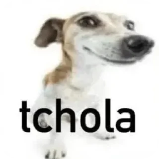 🐶 emoji Bia dtzao Telegram sticker 7 of 27