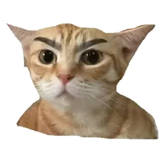 Sticker from Wa