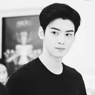 Sticker from CHA EUNWOO ; @K_RoleStic