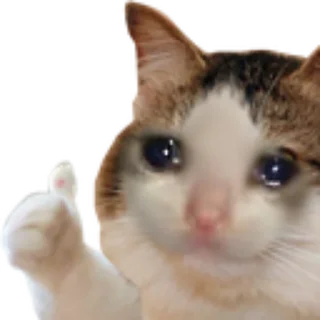 Sticker from Discord