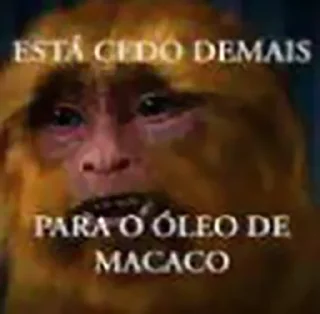 Sticker from ALERTA DE MACACO