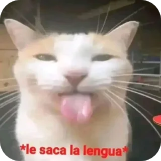 🐱 emoji Stickers @El_Elviz_Kaiser Telegram sticker 19 of 118