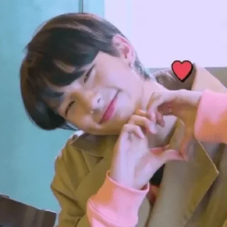 ❤️ emoji Stickers de SKZ Telegram sticker 14 of 40