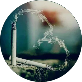 🚬 emoji Arte en Letras 💭🦋 Telegram sticker 13 of 57