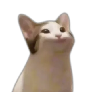 😮 emoji 🐱猫meme @sshuiooo Telegram sticker 14 of 55