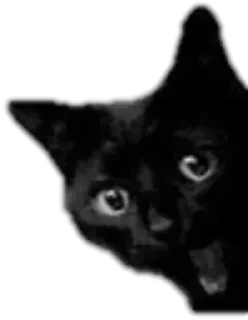 🙀 emoji Pacote da @Lyra7vidas Telegram sticker 10 of 75