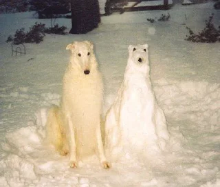 Sticker from Borzoi & Friends