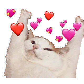 💗 emoji jjong loml Telegram sticker 21 of 113