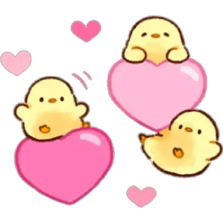 💕 emoji POLLITOS - [Instagram: @WiStickers] Telegram sticker 11 of 24