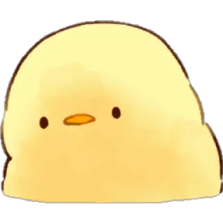 😶 emoji POLLITOS - [Instagram: @WiStickers] Telegram sticker 12 of 24