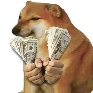 💸 emoji BUY DOGEBONK.IO ON ETHEREUM Telegram sticker 8 of 120