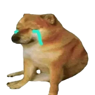 Sticker from BUY DOGEBONK.IO ON ETHEREUM