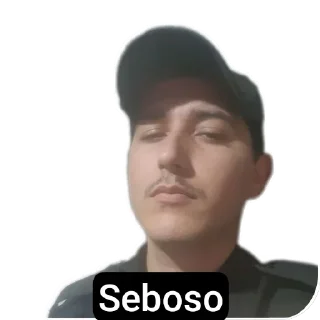 Sticker from Pack do Seu Ari