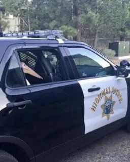 👮‍♀ emoji Nigger bird Telegram sticker 17 of 17