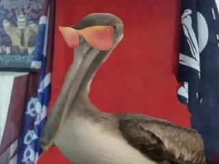 🐦 emoji Nigger bird Telegram sticker 6 of 17