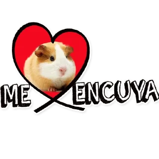 Sticker from cuy