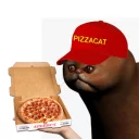🍕 emoji Weird Cat (@reallywe1rdcat) Telegram sticker 24 of 114