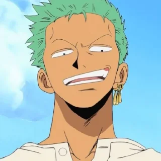 😃 emoji One piece @Zoro_sts Telegram sticker 10 of 57