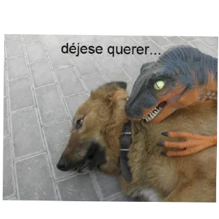 🐶 emoji Pendejadas de Sharky 5 Telegram sticker 14 of 110