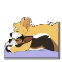 💦 emoji Duke Corgi Telegram sticker 18 of 120