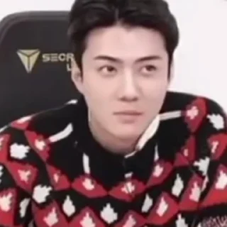 😏 emoji Sehun • @mstypc Telegram sticker 21 of 37