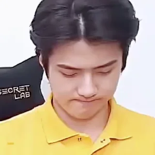 😐 emoji Sehun • @mstypc Telegram sticker 15 of 37