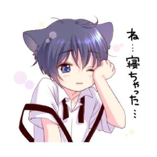 😪 emoji Boy of a black cat 3 Telegram sticker 23 of 40