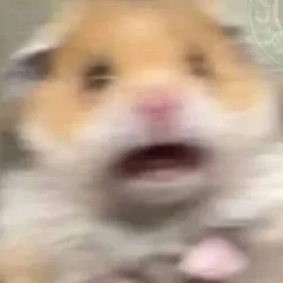 😨 emoji Aleatórios Telegram sticker 23 of 120