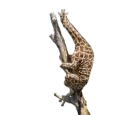 👀 emoji Aleatórios Telegram sticker 10 of 112