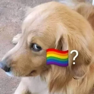 🏳‍🌈 emoji 🏳‍🌈? @lbrabo Telegram sticker 23 of 120