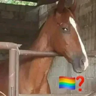 🏳‍🌈 emoji 🏳‍🌈? @lbrabo Telegram sticker 16 of 120