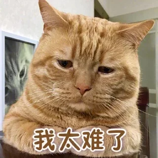 Sticker from Willis专用表情包