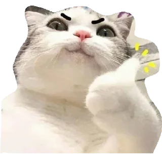 👍 emoji Miguel Telegram sticker 6 of 30