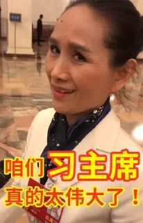 😋 emoji 吴京爱国 Telegram sticker 11 of 104