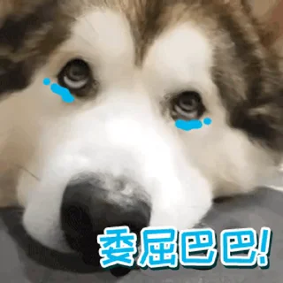 ☑️ emoji @GM9600  深圳👉5米上课. Telegram sticker 18 of 39