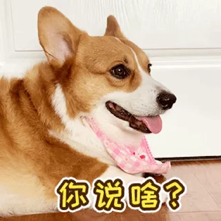 ⏩ emoji @GM9600  深圳👉5米上课. Telegram sticker 14 of 39