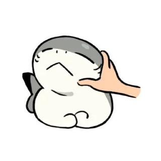 😊 emoji Sharkitty鯊貓 調皮搗蛋動態貼圖 @kal_pc Telegram sticker 11 of 24